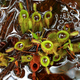 Illustration for article titled 41 More Amazing Photos From the Sony World Photography Awards